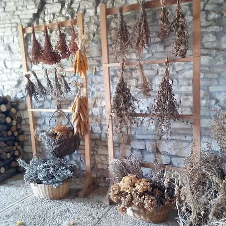 Del Frontino - Ca' Marianna