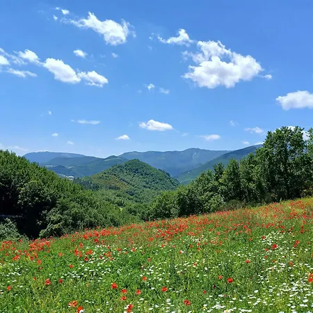 Del Frontino - Ca' Marianna Lägenhet Acqualagna