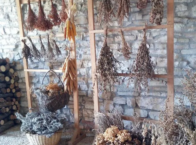 Del Frontino - Ca' Marianna